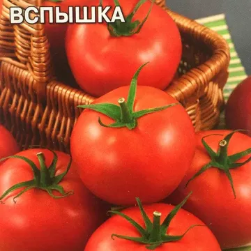 Сплаш