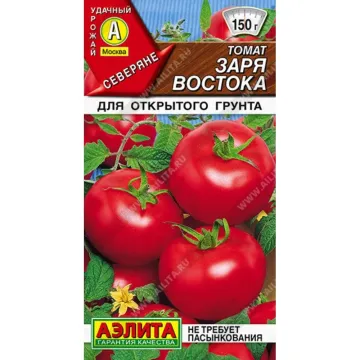 Заря Востока
