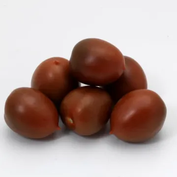 Зук F1