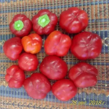 Зута
