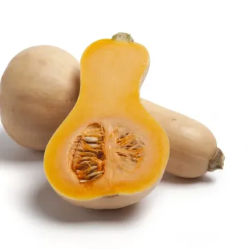 Мускатная