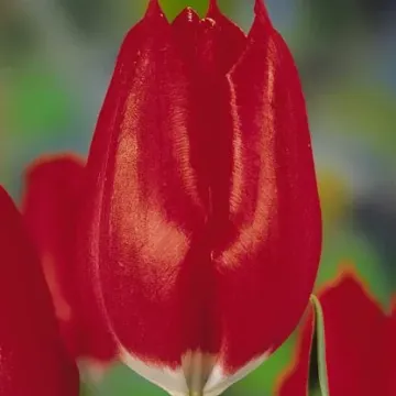 Мовиэ Стар