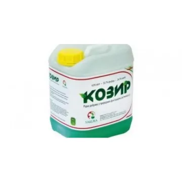 KOZIR