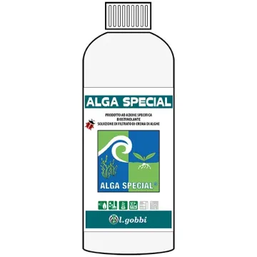 Alga