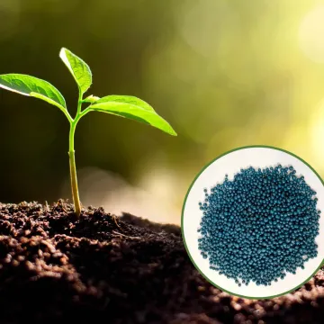 BACTERIAL FERTILIZER "AZOLEK"