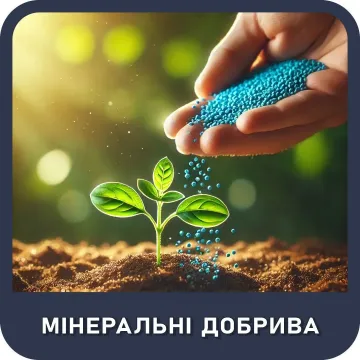 Лумидапт Импакт