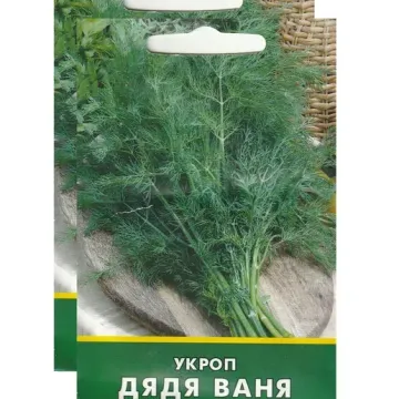 Дядя Ваня