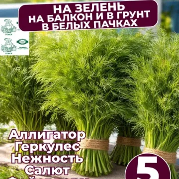Геркулес