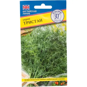 Тристан