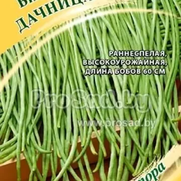 Дачница