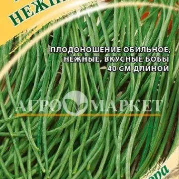 Нежная