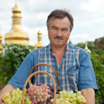 Кубанець