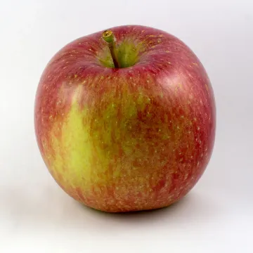 Фуджи