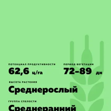 Абалак