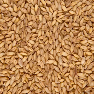 Формат