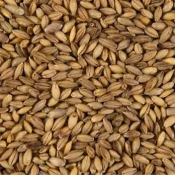Валькирия