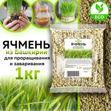 Холзан