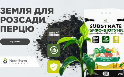 Як обрати субстрат для перцю — поради агронома
