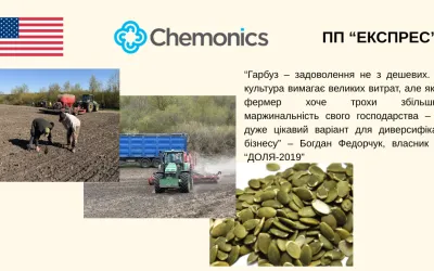 З нуля до власного бренду. Як ФГ «ДОЛЯ-2019» будує нішевий агробізнес на гарбузовому насінні