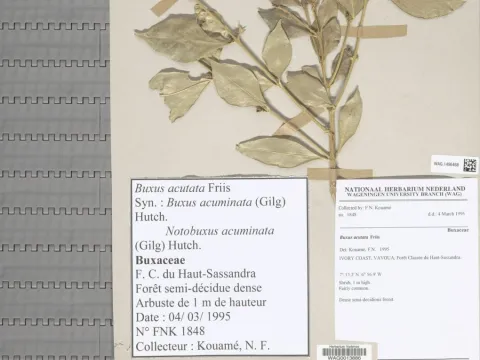 Naturalis Biodiversity Center · CC0 1.0 · GBIF
