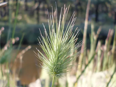 John Tann · CC BY 4.0 · GBIF