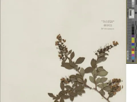 Unknown · CC0 1.0 · GBIF