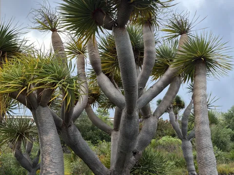 William Stephens · CC BY 4.0 · GBIF
