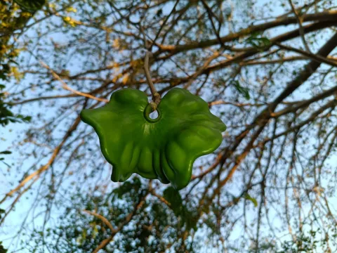 nasua · CC BY 4.0 · GBIF