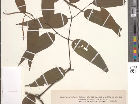 Conveyor Belt · CC0 1.0 · GBIF