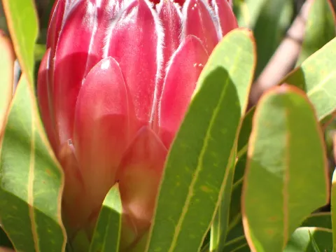 Karen Eichholz · CC BY 4.0 · GBIF