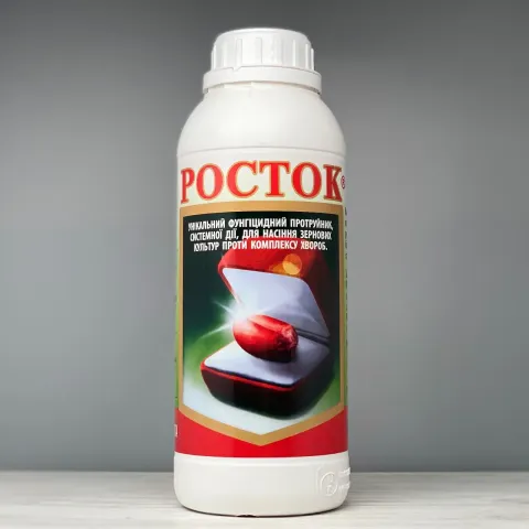rostok