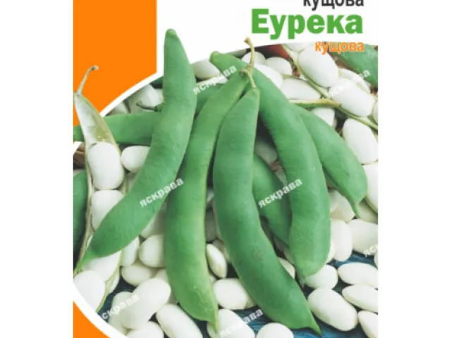 Еурека / Єурека