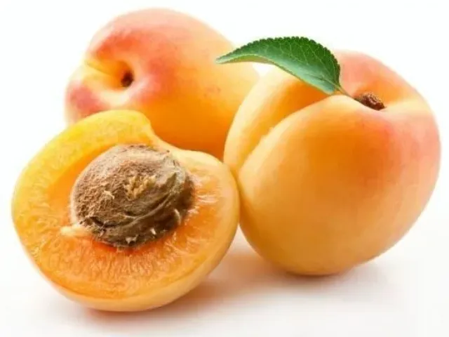 Amber of the Volga Region