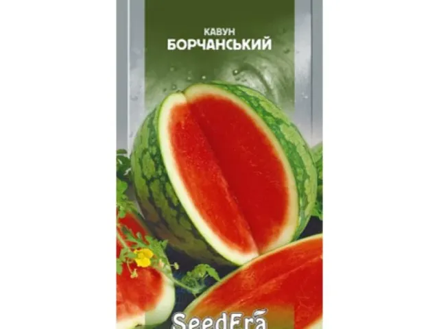 Борчанський / Борчанський