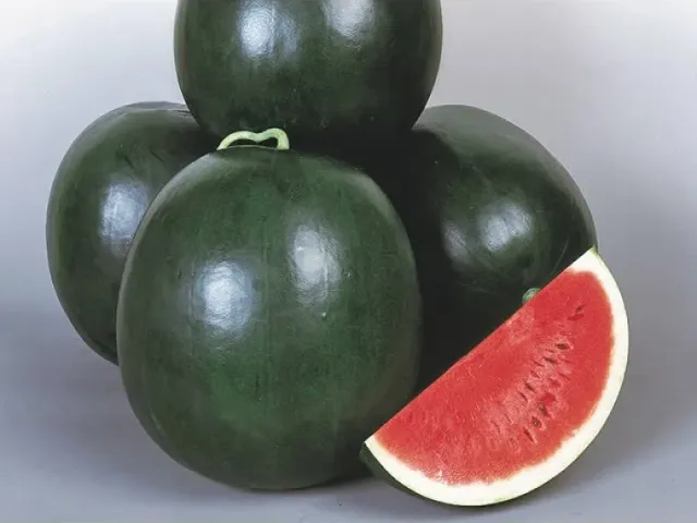 DULZOR