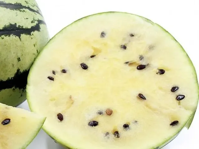 Ємеля