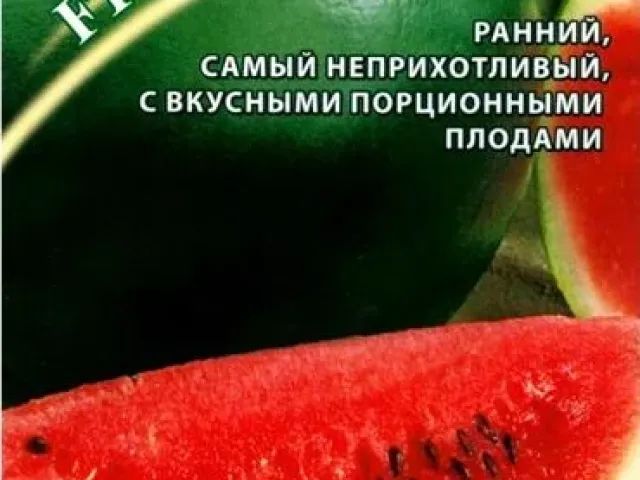 Експрессион