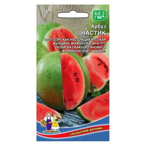 Seed packet for watermelon NASTIK featuring images of ripe and sliced fruits.