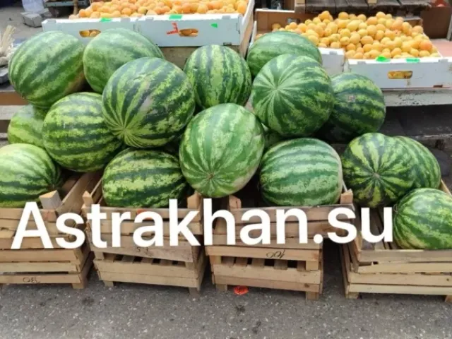 NEW ASTRAKHANI