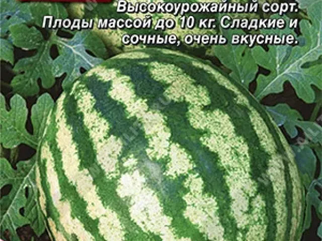 Успіх