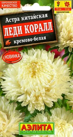 Пакет семян астры китайской Леди Коралл кремово-белая