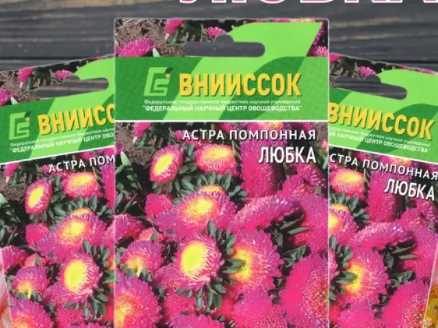LYUBKA
