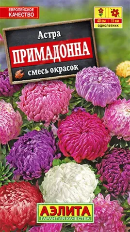 Пакет насіння астра Примадонна з зображенням квітучих квітів - ПРІМАДОННА