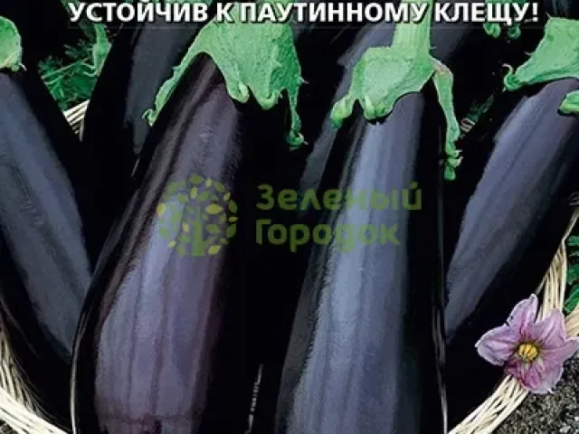 Фиолетовое Чудо