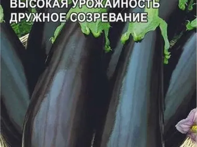 Галич