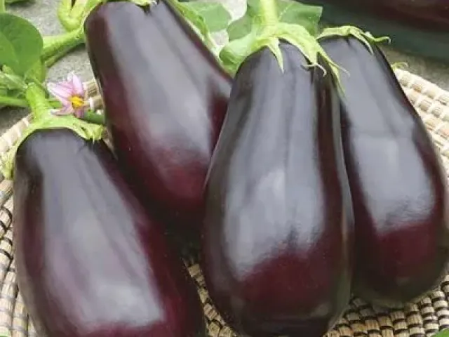 Мария