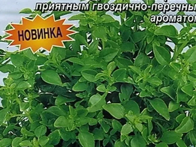 Грёзы Султана