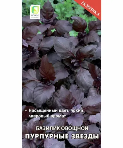 Pack of purple basil seeds Purple Stars