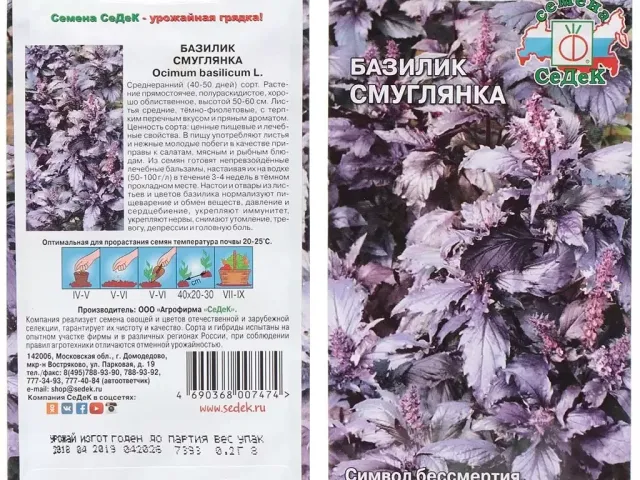 Смуглянка