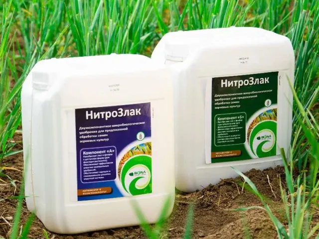 Нітро Злак